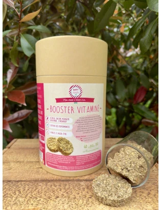 BOOSTER VITAMINÉ BIO