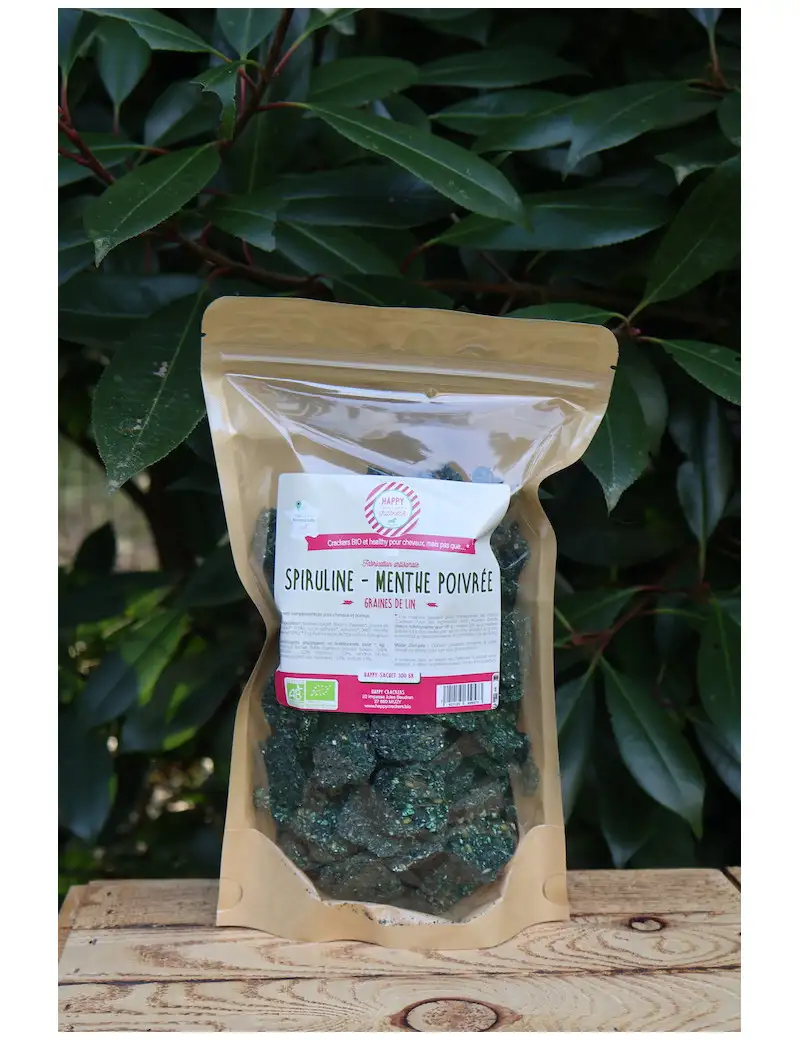 Crackers Spiruline Menthe poivrée