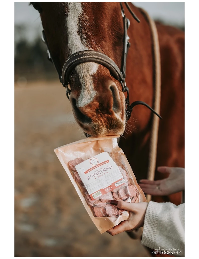 Crackers Betteraves Rouges