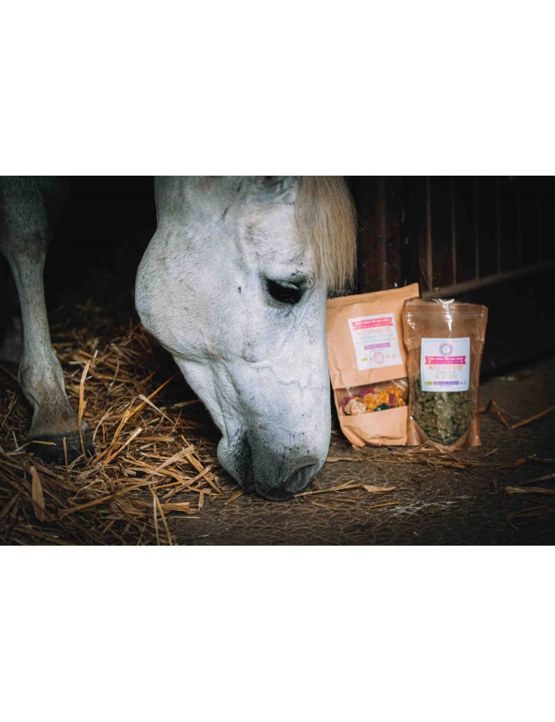 Crackers Ail des Ours