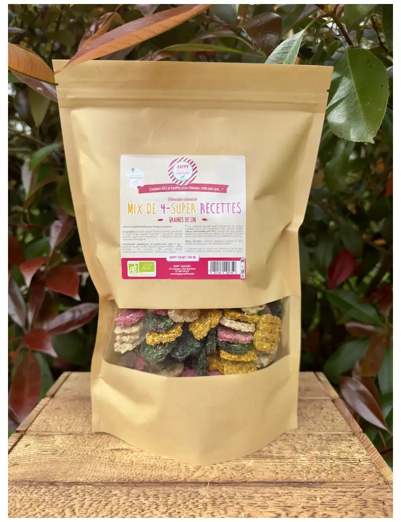 Crackers MIX 4 RECETTES