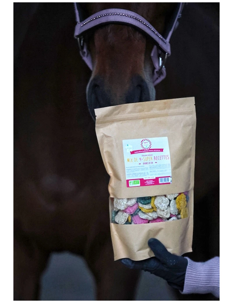 Crackers MIX 4 RECETTES