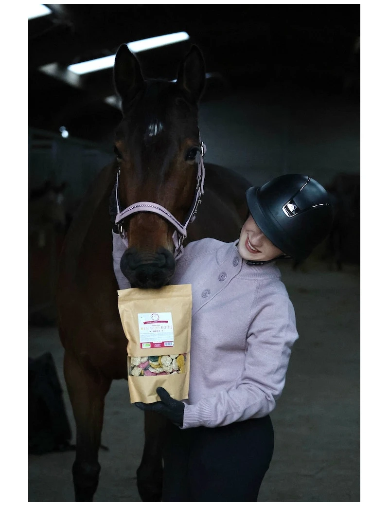 Crackers MIX 4 RECETTES