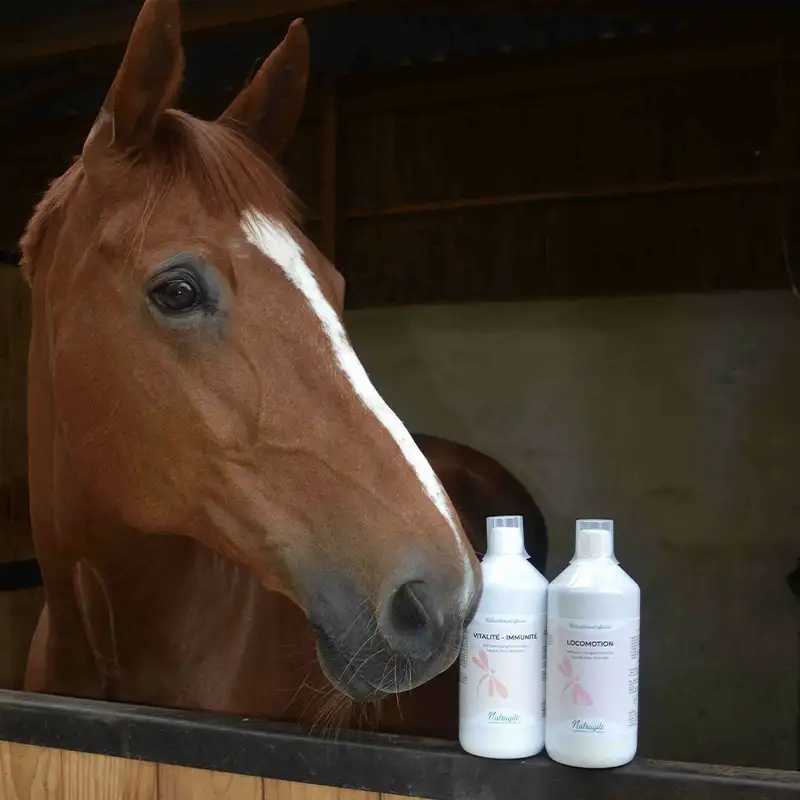 Locomotion LiquideLocomotion Liquide