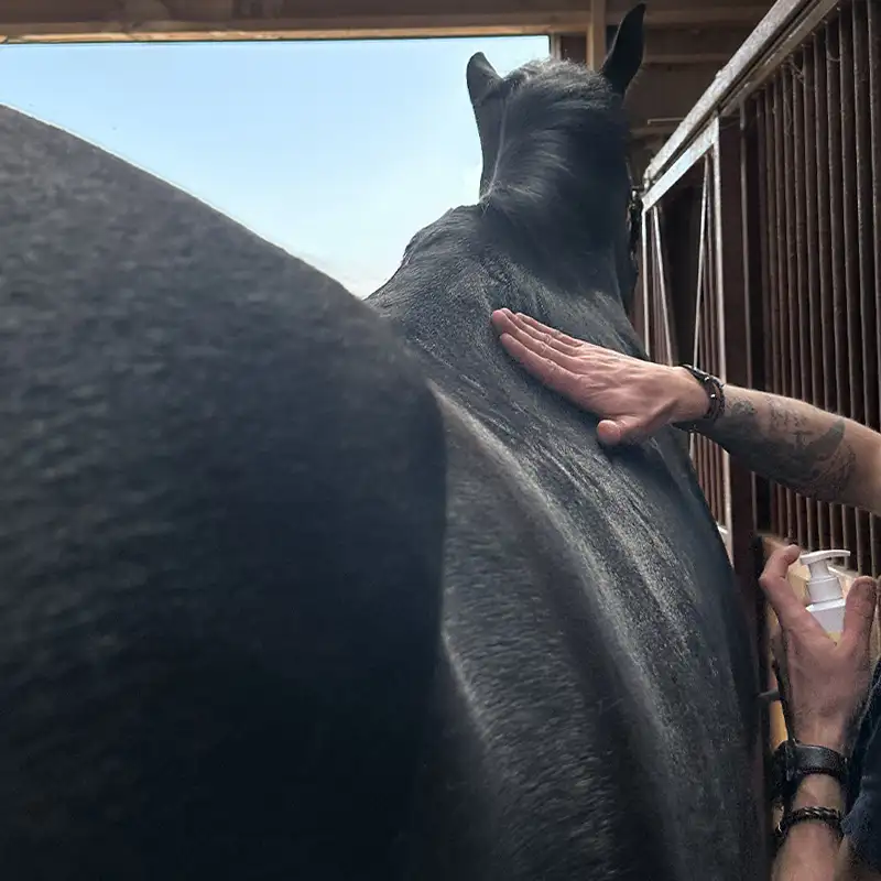 Gel de Massage Préparation Musculaire - Articulaire