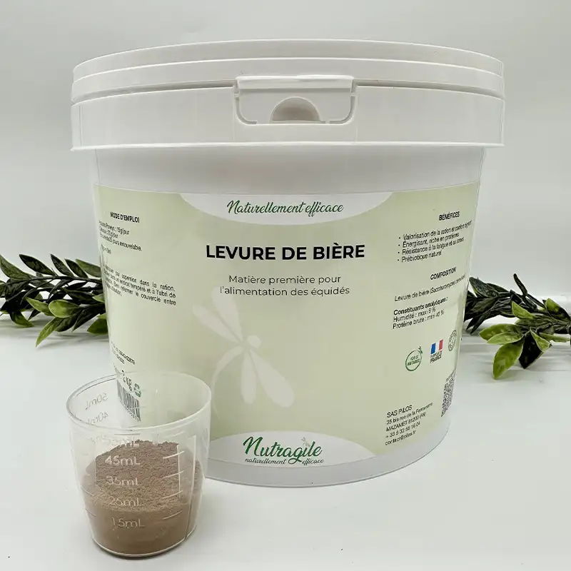 Levure de Bière Poudre