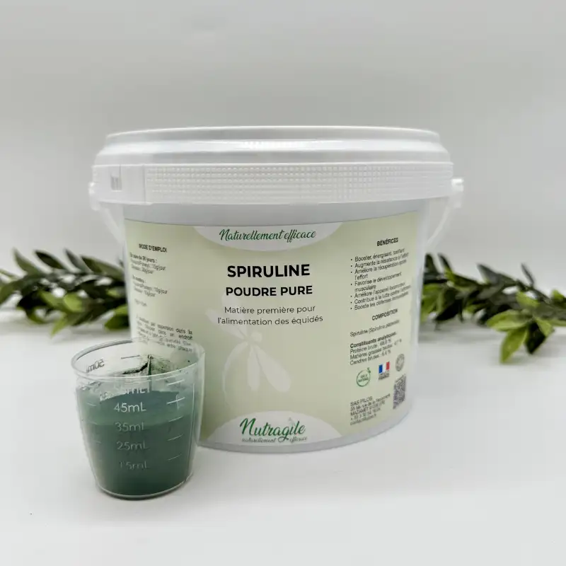 Spiruline Poudre