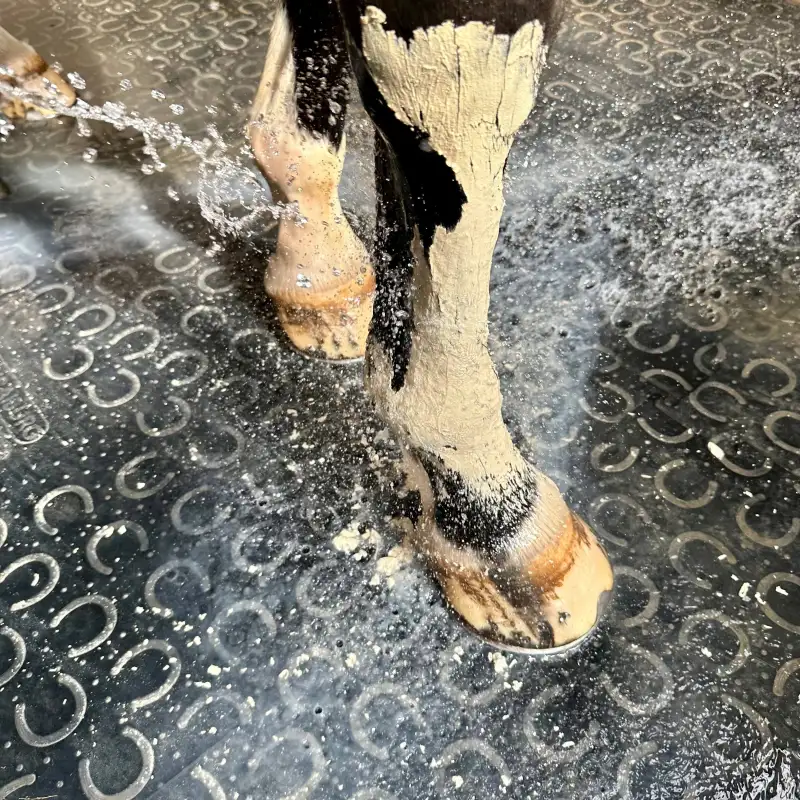 Pâte d'argile Effort Intense