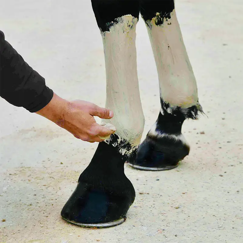 Pâte d'argile Soulage Douleur- Coup-Contusion