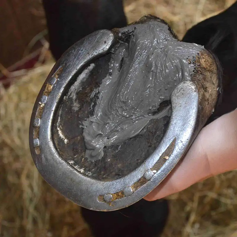 Soin des Fourchettes