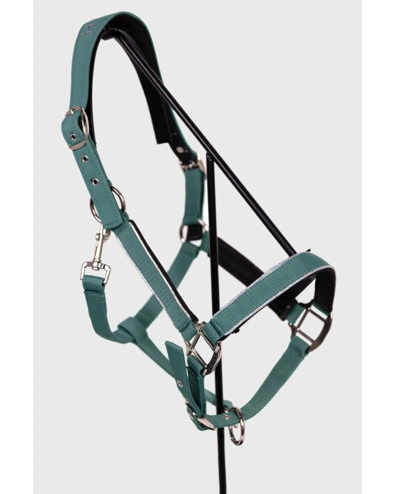 HARCOUR Bamara Licol - Paon (Peacock) HORSE