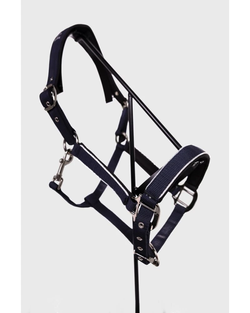 HARCOUR Bamara Licol - Paon (Peacock) HORSE