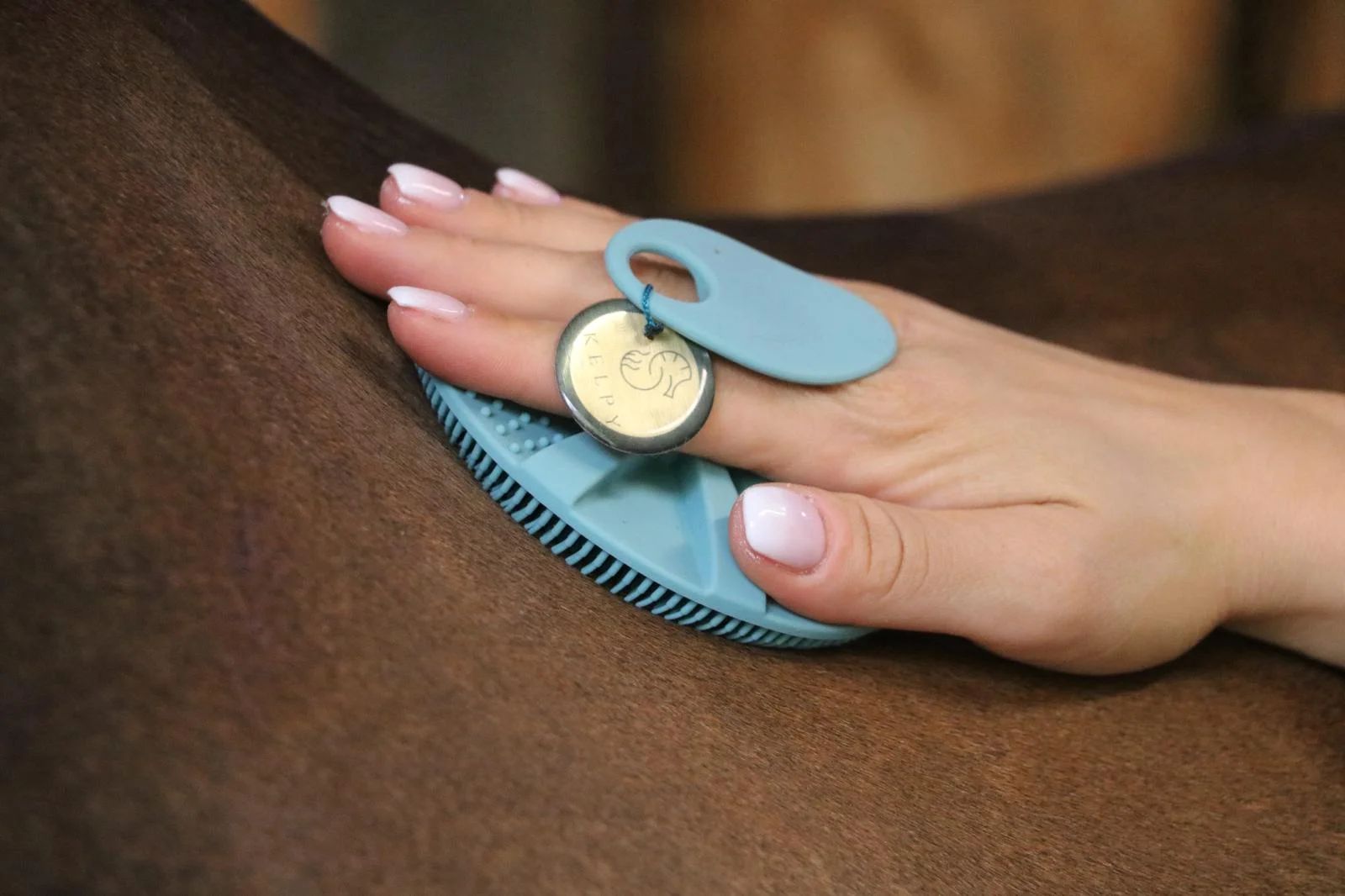 lot de brosses kelpy