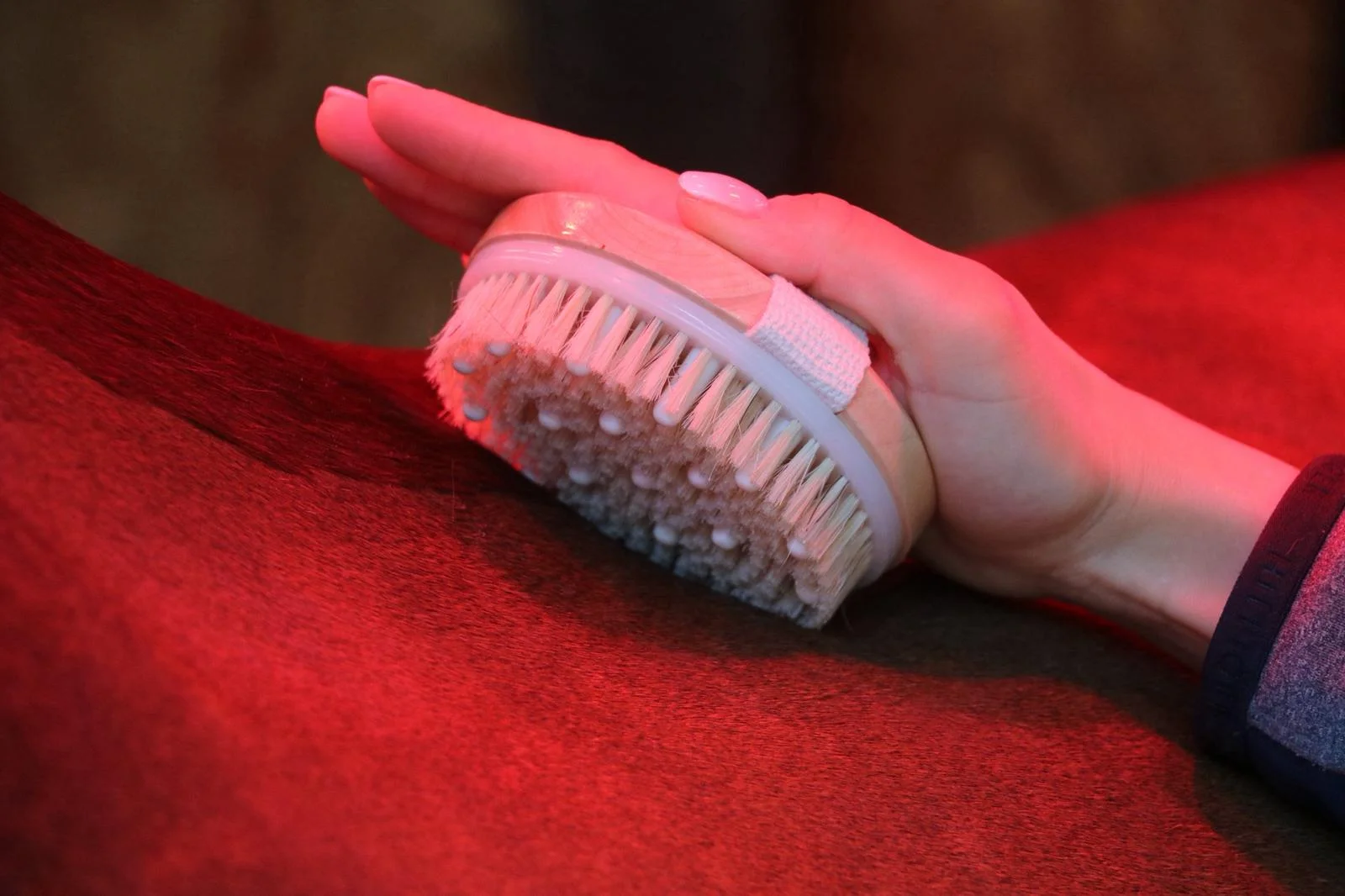 lot de brosses kelpy