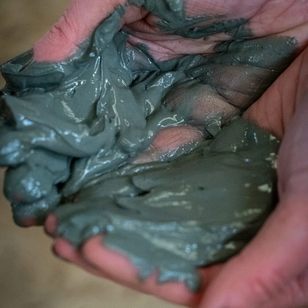 Boue marine de Noirmoutier – Bain de Jouvence articulaire équin