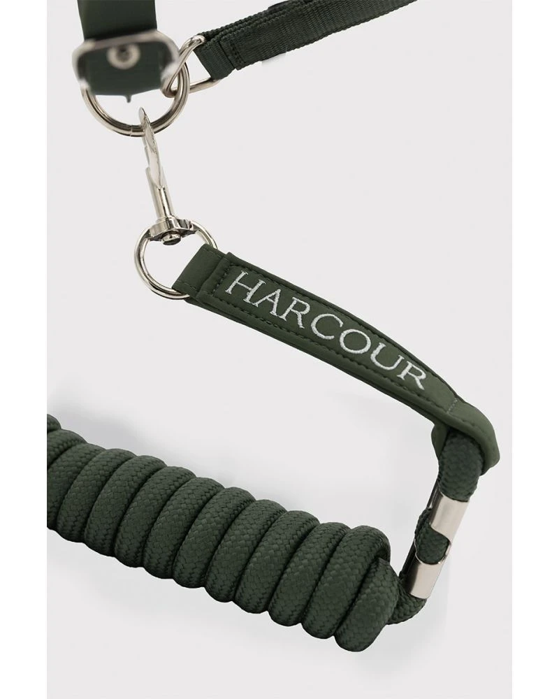 HARCOUR Cinsy Licol et longe - Trefle FULL